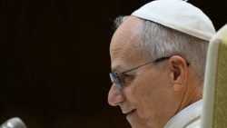 2026.01.28 Udienza Generale