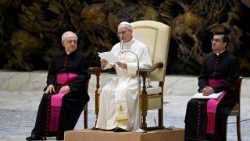 Der Papst bei der Generalaudienz