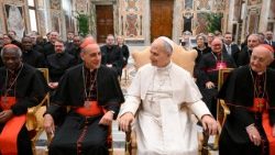O Papa com os participantes da plenária do Dicastério para a Doutrina da Fé