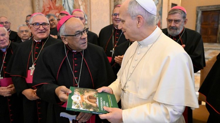 Le&atilde;o XIV em audi&ecirc;ncia com os bispos do Peru