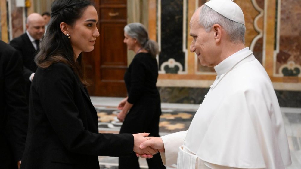 2026.02.05 Comitato Direttivo dell'Organizzazione "From Crisis to Care: Catholic Action for Children"