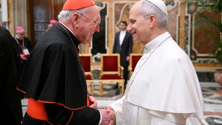 Pope Leo XIV and Cardinal Kevin Farrell, Prefect of the Dicastery for the Laity, Family and Life