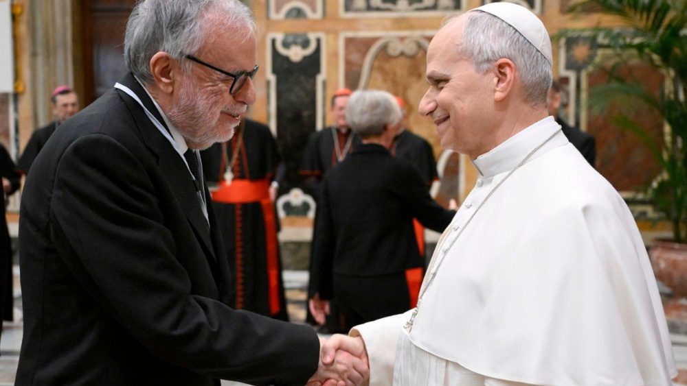 Аўдыенцыя для ўдзельнікаў пленарнай сесіі Дыкастэрыі па справах свецкіх, сям'і і жыцця