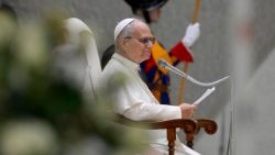 Падчас агульнай аўдыенцыі 11 лютага 2026 года