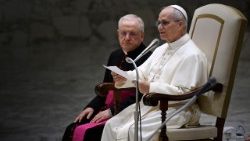 Общая аудиенция 11 февраля 2026 г. в Ватикане