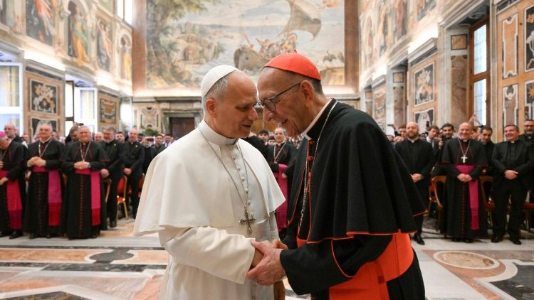 Setk&aacute;n&iacute; papeže se španělsk&yacute;mi bohoslovci 