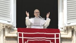 ലിയോ പതിനാലാമൻ പാപ്പാ മധ്യാഹ്ന പ്രാർത്ഥന വേളയിൽ 