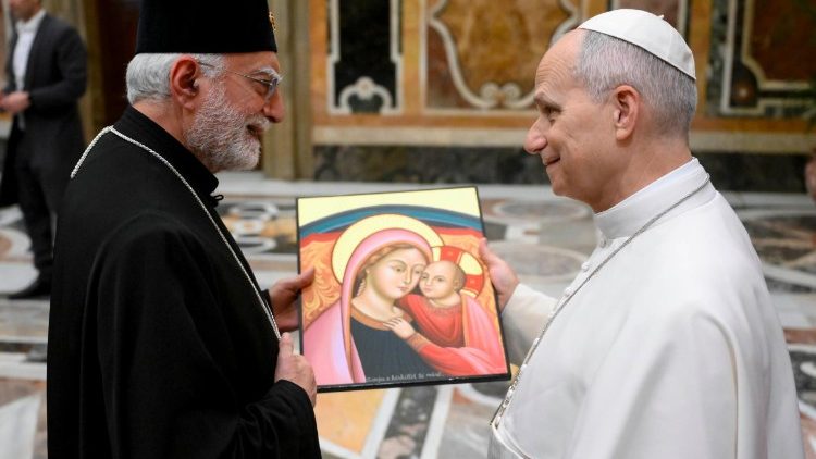 Il Papa durante l'udienza in Sala Clementina