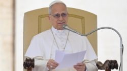 2026.03.04 Udienza Generale