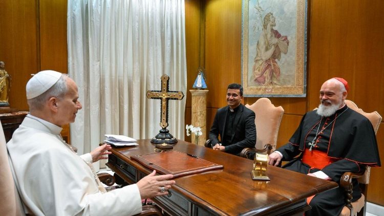 Die Audienz im Vatikan