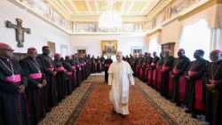 Đức Thánh Cha Lêô XIV gặp các Giám mục Nigeria