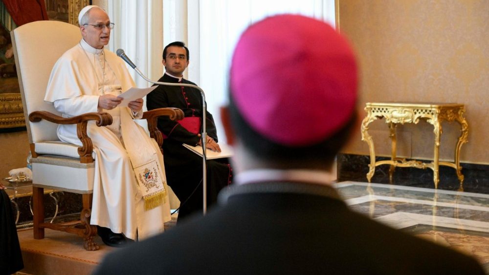 2026.03.16 Membri della Pontificia Commissione per la Tutela dei Minori