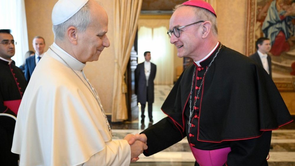 2026.03.16 Membri della Pontificia Commissione per la Tutela dei Minori