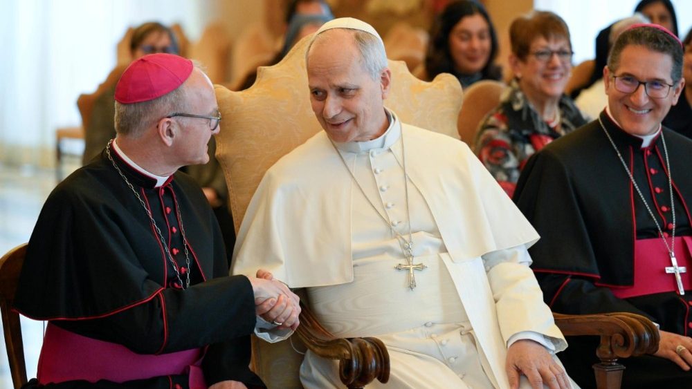 2026.03.16 Membri della Pontificia Commissione per la Tutela dei Minori