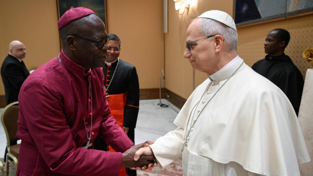 Аўдыенцыя Льва XIV для хрысціянска-мусульманскай дэлегацыі з Афрыкі