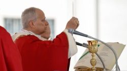 2026.03.29 Celebrazione della Domenica delle Palme