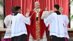 Pope Leo XIV celebrates Palm Sunday Mass in the Vatican