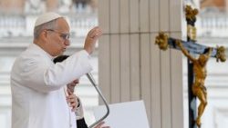 البابا لاوُن الرابع عشر يواصل التأمل في الدستور العقائدي في الكنيسة مسلطا الضوء على الفصل الرابع حول العلمانيين