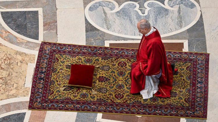 XIV. Le&oacute; p&aacute;pa