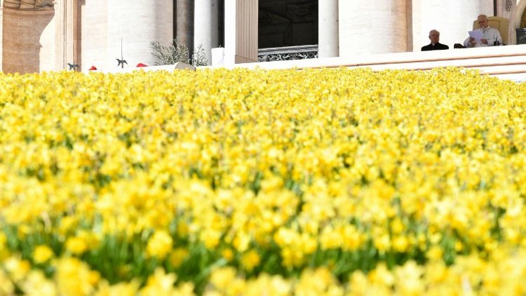 Pope Leo XIV delivers catechesis at General Audience