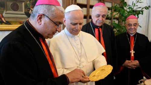 L&eacute;on XIV invite l’&Eacute;glise chald&eacute;enne &agrave; l’unit&eacute;, la paix et au renouveau spirituel