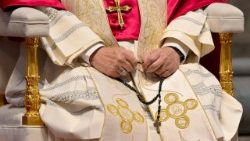 Il Papa prega il Santo Rosario per invocare il dono della pace l'11 aprile 2026