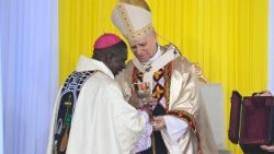 Pope Leo at Mass in Cameroon