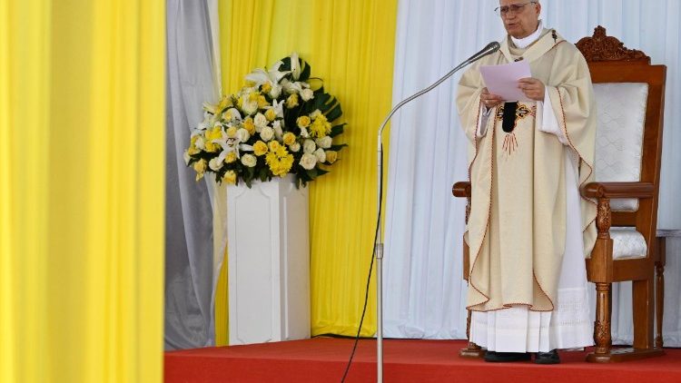 Pope Leo delivers his homily at Mass in Douala