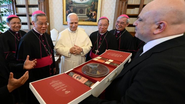 Pope Leo welcomes the Vietnamese bishops to the Vatican