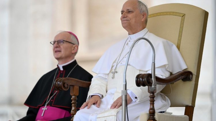 Il Papa all'udienza generale