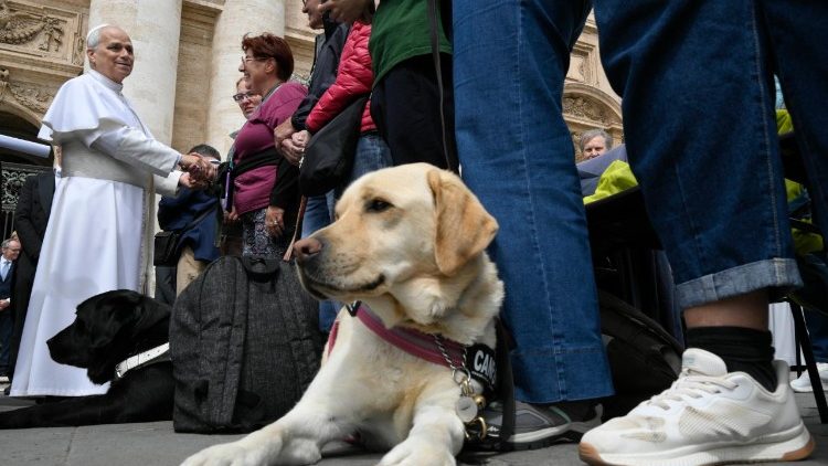 Un cane guida all'udienza generale