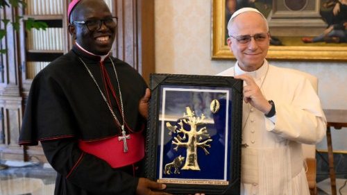 Pope urges renewed commitment to peace and development in the Sahel
