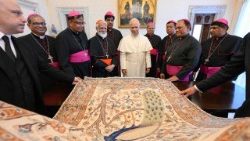 The Catholic bishops of Pakistan with Pope Leo XIV