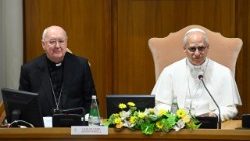 El Cardenal Farrell junto al Santo Padre en la reunión con los participantes en el encuentro de los Moderadores de las Asociaciones de los Fieles, de los Movimientos Eclesiales y de las Nuevas Comunidades.