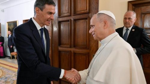 Entrevue entre L&eacute;on XIV et Pedro S&aacute;nchez, le Premier ministre espagnol