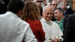 Papież mówił o życiu jako  grze zespołowej i o Mundialu