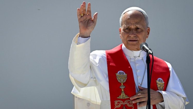 Pope Leo during the meeting