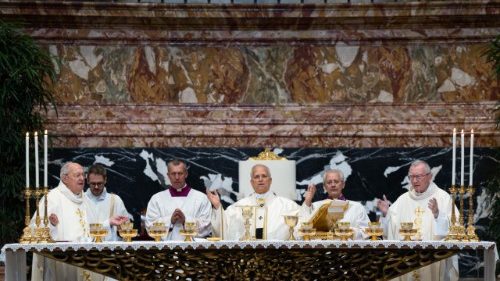 Wortlaut: Predigt von Leo XIV. bei der Messe zum Konsistorium 