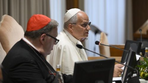 Le&oacute;n XIV cierra el consistorio, "una experiencia de comuni&oacute;n al servicio de la misi&oacute;n"