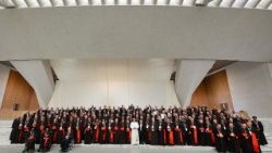 Le Pape Léon XIV et les cardinaux à l'occasion du consistoire extraordinaire. 