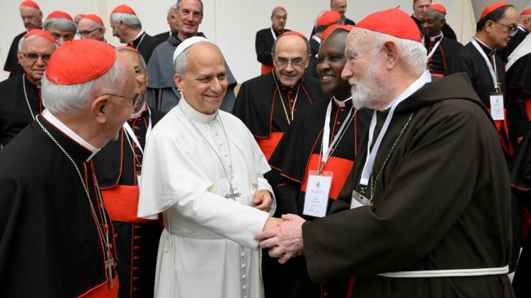 Auch Papst Leo XIV. war bei den Beratungen dabei