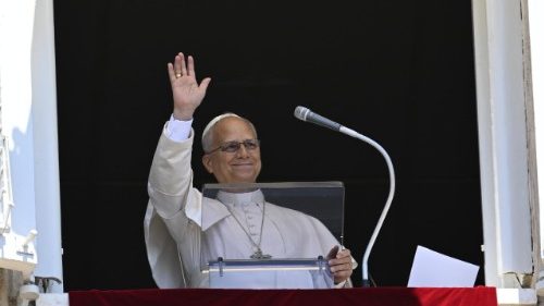 Il Papa: Ges&ugrave; si fa carico dell’umanit&agrave; ferita dal male per prendersene cura