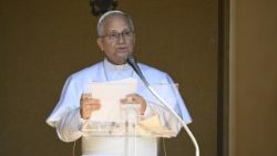 திருத்தந்தை பதினான்காம் லியோ 