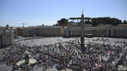 2026.08.23 Angelus