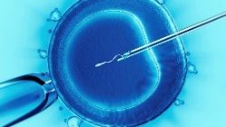 Zapłodnienie in vitro