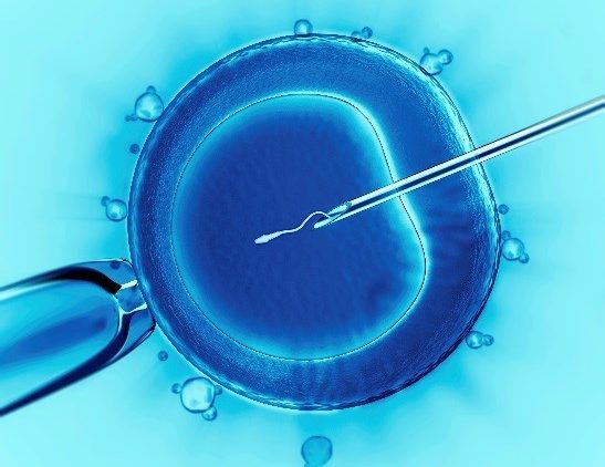 Zapłodnienie in vitro