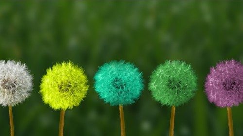 «Gaudete et exsultate»: utholdenhet, tålmodighet og ydmykhet