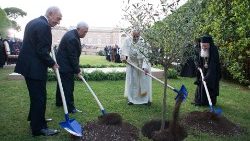 Setkání za mír ve Vatikánských zahradách dne 8. června 2014