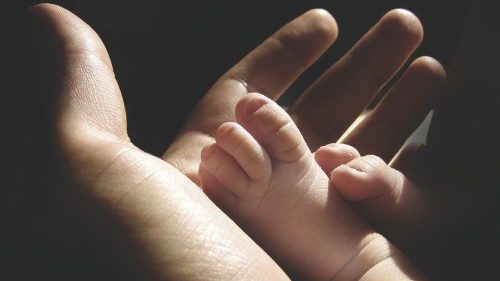 Les évêques chiliens appellent à la protection de la vie sans exception 