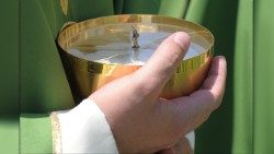 Los sacerdotes deben ejercer su ministerio juntos, no aislados, sirviendo guiados por el Espíritu Santo